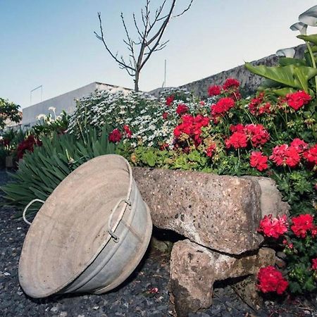 アデヘ Casa Jacinta Con Jacuzziゲストハウス エクステリア 写真