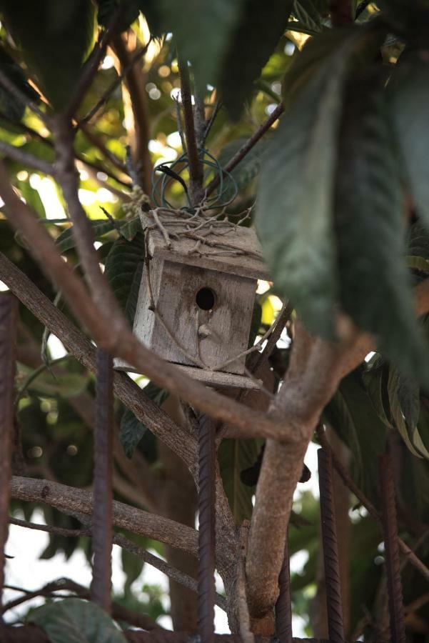 アデヘ Casa Jacinta Con Jacuzziゲストハウス エクステリア 写真